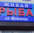 рыба - Кисловодский Экспресс